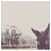 Esel füttern stoff (Nahaufnahme)