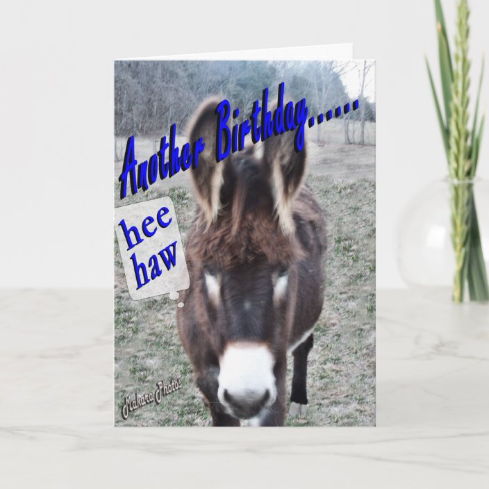 Esel Geburtstagfertigen es besonders an Karte Zazzle.de