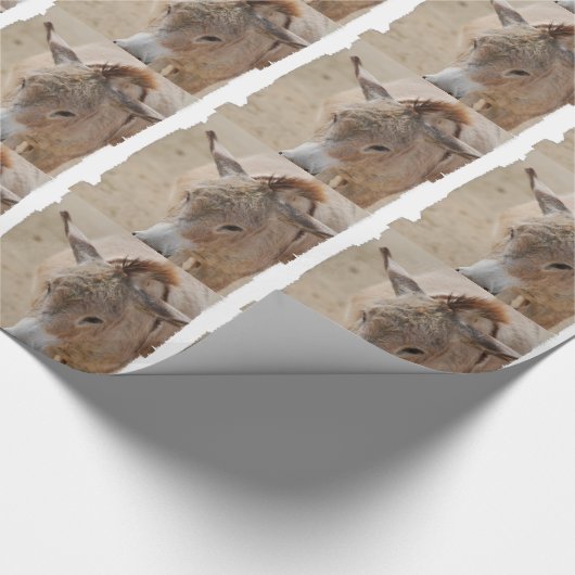 Esel Geschenkpapier (Ecke)