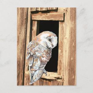 Esel im Barnfenster Tierart Postkarte