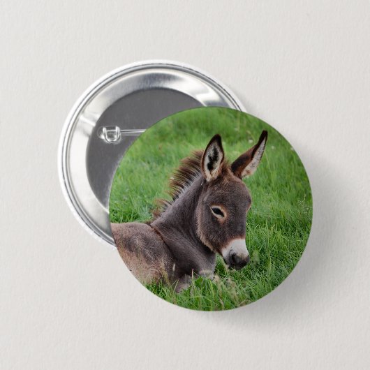 Esel im Gras Button (Vorne & Hinten)