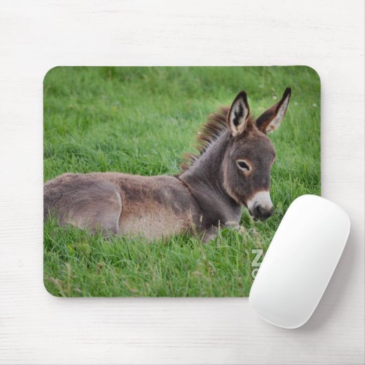 Esel im Gras Mousepad (Mit Mouse)