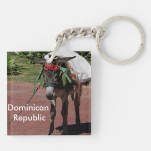 Esel in der Dominikanischen Republik Schlüsselanhänger