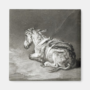 Esel in der Erholung Magnet