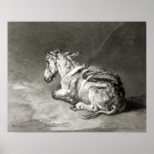 Esel in der Erholung Poster (Vorne)