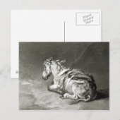 Esel in der Erholung Postkarte (Vorne/Hinten)