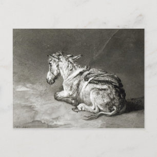 Esel in der Erholung Postkarte