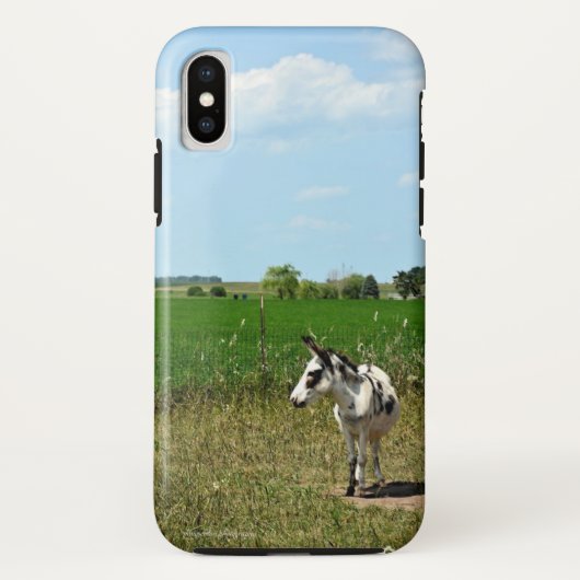 Esel in einem Feld Case-Mate iPhone Hülle (Rückseite)