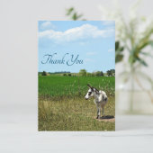 Esel in einem Feld Dankeskarte (Stehend Vorderseite)