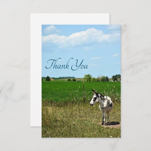 Esel in einem Feld Dankeskarte (Vorne/Hinten)