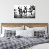Esel in einem Feld Leinwanddruck (Insitu (Schlafzimmer))