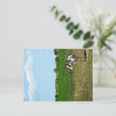 Esel in einem Feld Postkarte (Stehend Vorderseite)