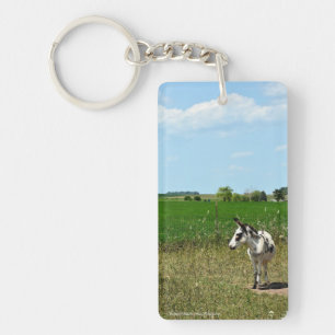 Esel in einem Feld Schlüsselanhänger