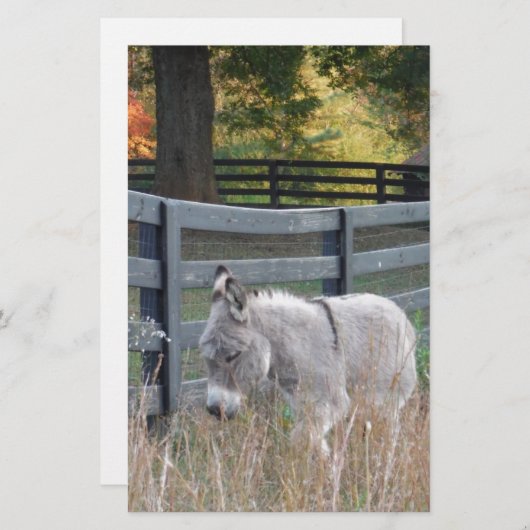 Esel in einem Herbstfeld Briefpapier (Vorne/Hinten)