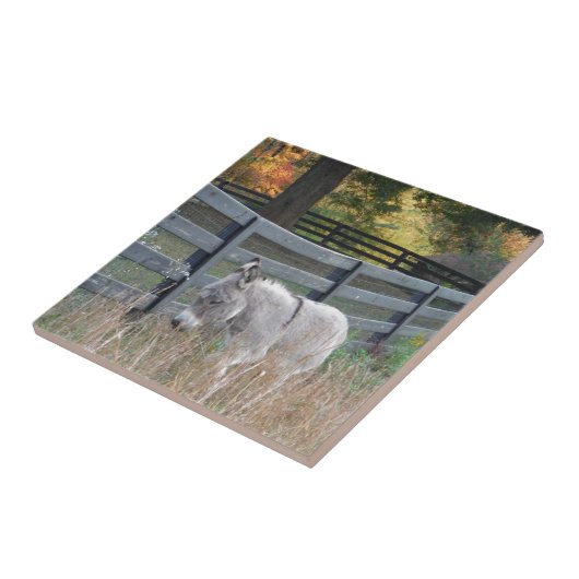 Esel in einem Herbstfeld Fliese (Seite)