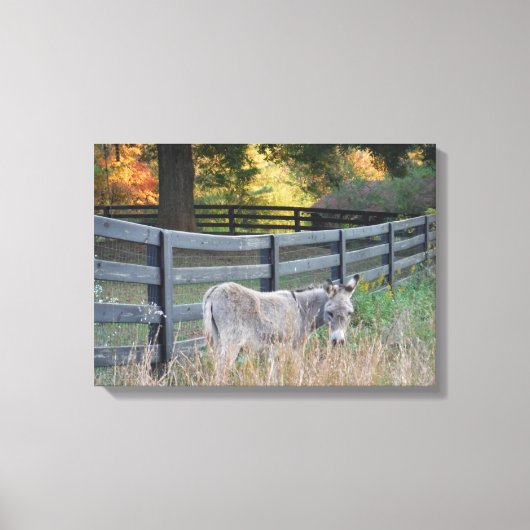 Esel in einem Herbstfeld Leinwanddruck (Vorderseite)