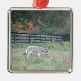 Esel in einem Herbstfeld. Ornament Aus Metall