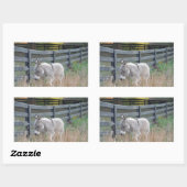 Esel in einem Herbstfeld Rechteckiger Aufkleber (Blatt)