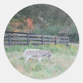 Esel in einem Herbstfeld. Runder Aufkleber