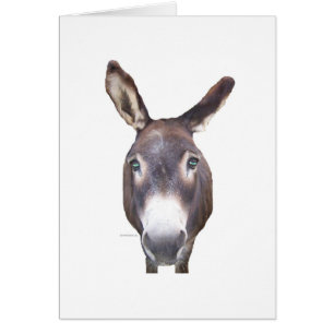 Esel in Ihrem Gesicht