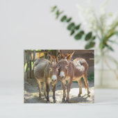 Esel in Liebe Postkarte (Stehend Vorderseite)