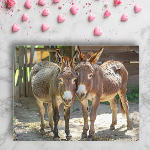 Esel in Liebe Postkarte