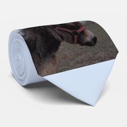 Esel-Krawatte Krawatte (Gerollt)