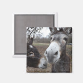 Esel! Magnet (Vorderseite/Rückseite)