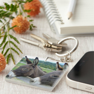 Esel Maultier Bauernhof Tier Land Schicksal Schlüsselanhänger