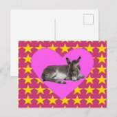 Esel mit Sternen und Herzen Postkarte (Vorne/Hinten)