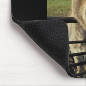 Esel Mousepad (Ecke)