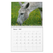 Esel oder Donkey als Kalender (Feb 2027)