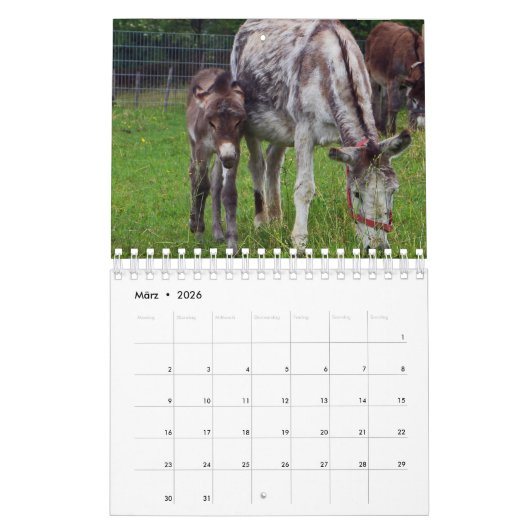 Esel oder Donkey als Kalender (Mär 2026)