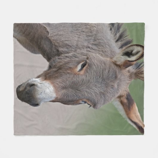 Esel-Porträt-Fleece-Decke Fleecedecke (Vorderseite (Horizontal))
