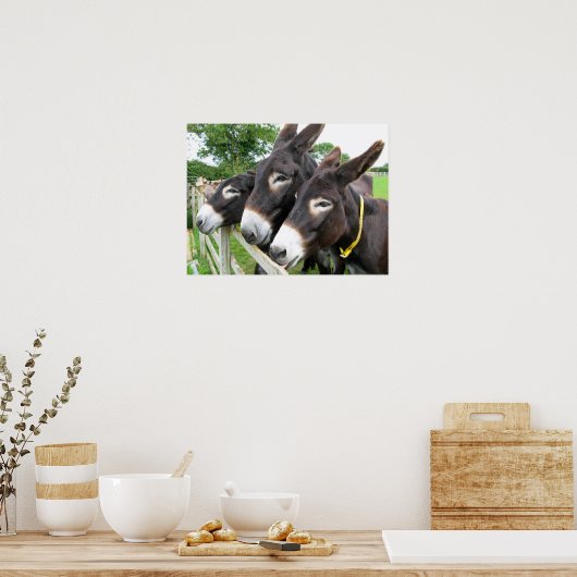 Esel! Poster (Küche)