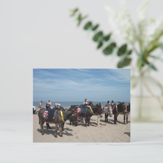 Esel Postkarte (Stehend Vorderseite)