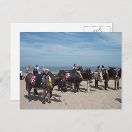 Esel Postkarte (Vorne/Hinten)