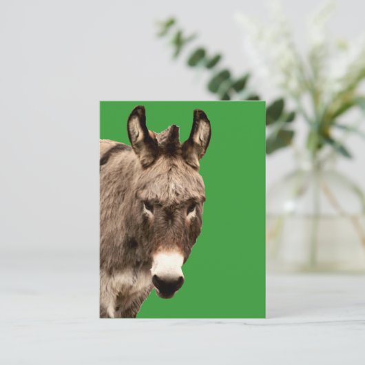 Esel Postkarte (Stehend Vorderseite)