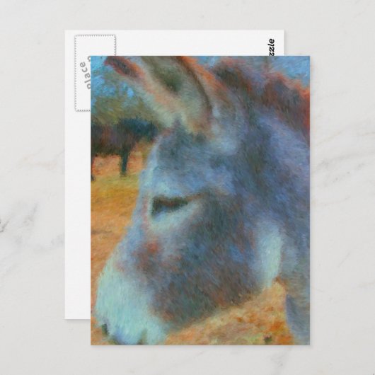 Esel Postkarte (Vorne/Hinten)