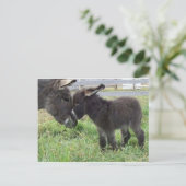 Esel Postkarte (Stehend Vorderseite)