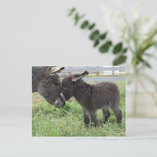 Esel Postkarte (Stehend Vorderseite)