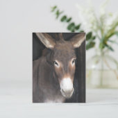 Esel-Schongebiet-Postkarte Postkarte (Stehend Vorderseite)