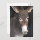 Esel-Schongebiet-Postkarte Postkarte (Vorne/Hinten)