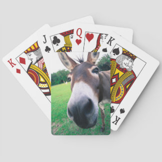 Esel Spielkarten