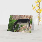 Esel-Tiergeist-Freund - freier Raum Karte (Gelbe Blume)