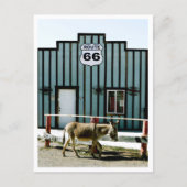 Esel Town Oatman Arizona Postkarte (Vorderseite)