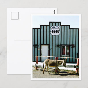 Esel Town Oatman Arizona Postkarte