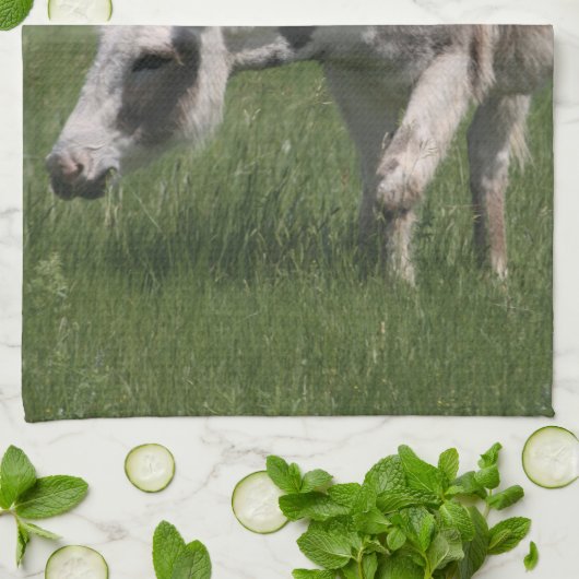 Esel-Tuch Geschirrtuch (Gefaltet)