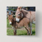 Esel und Baby Button (Vorderseite)