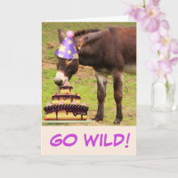 Esel und Geburtstagskuchen